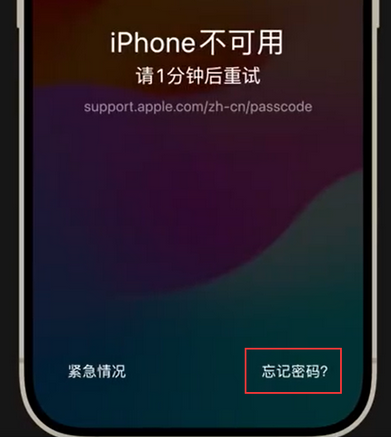孟村苹果手机密码维修分享iPhone忘记了刚设置的密码 